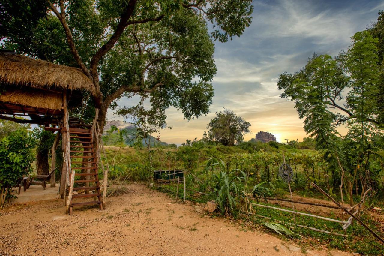 Sigiriya King'S Resort Dış mekan fotoğraf