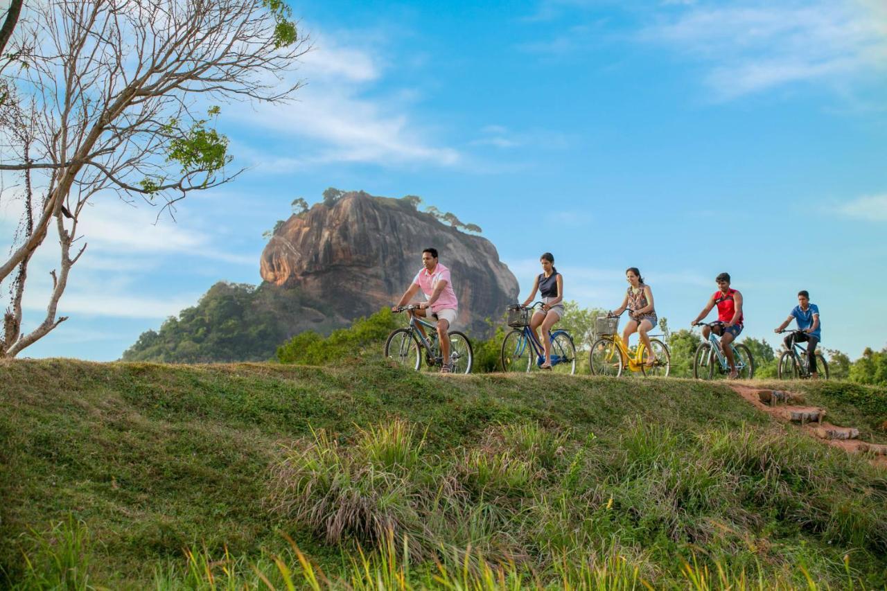 Sigiriya King'S Resort Dış mekan fotoğraf
