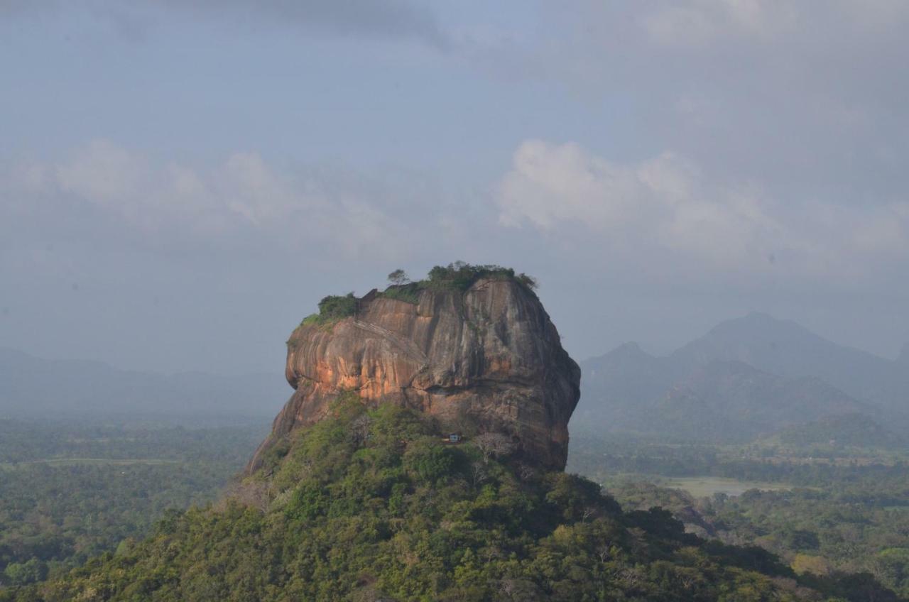 Sigiriya King'S Resort Dış mekan fotoğraf