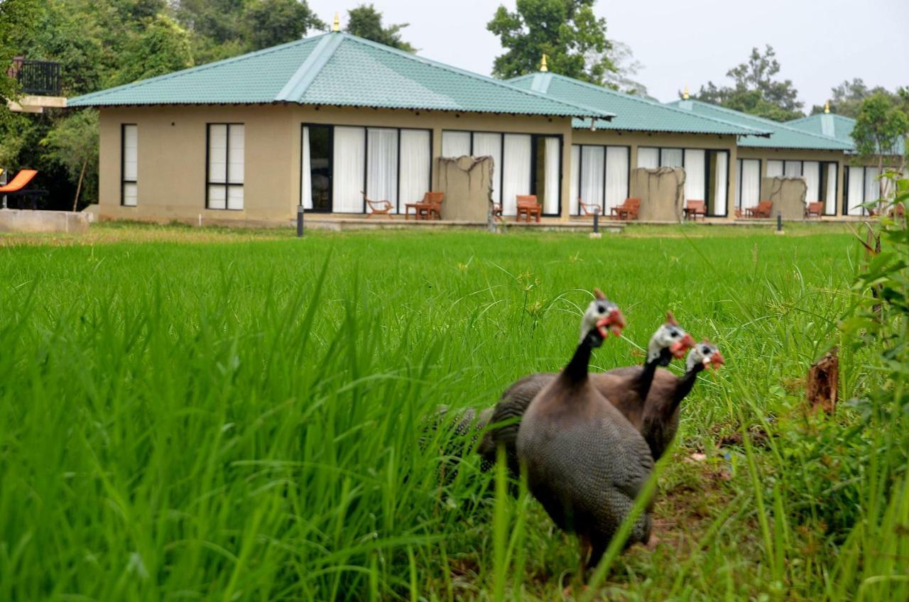 Sigiriya King'S Resort Dış mekan fotoğraf