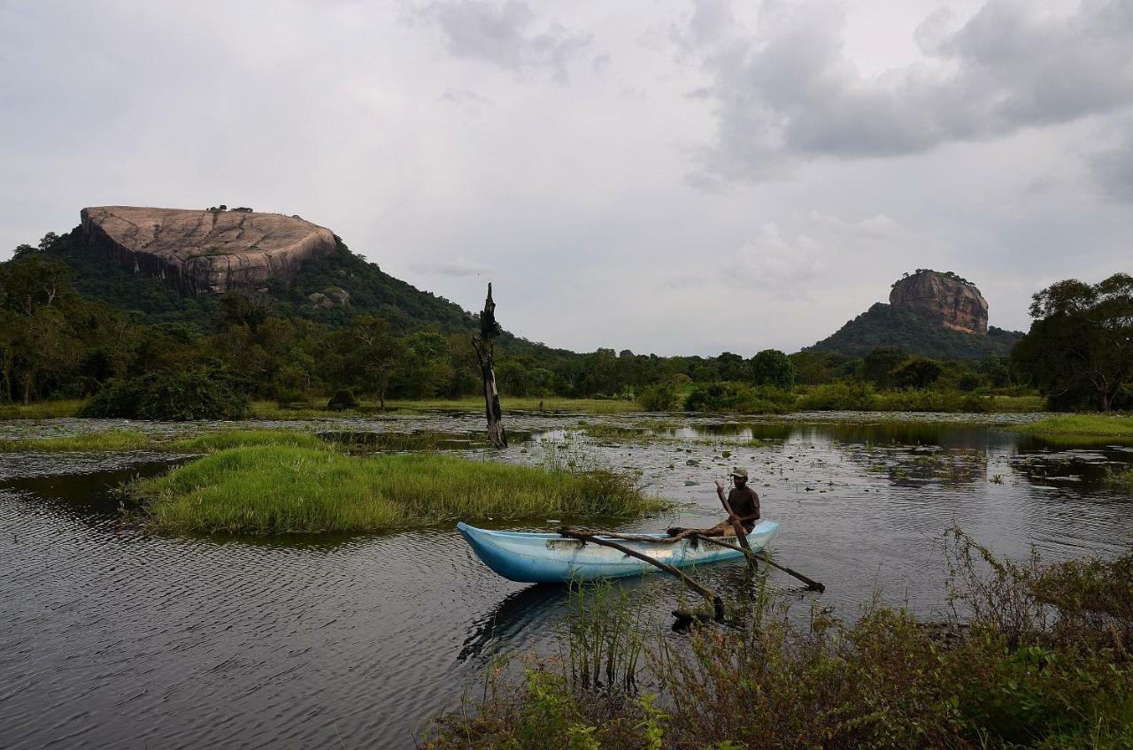 Sigiriya King'S Resort Dış mekan fotoğraf