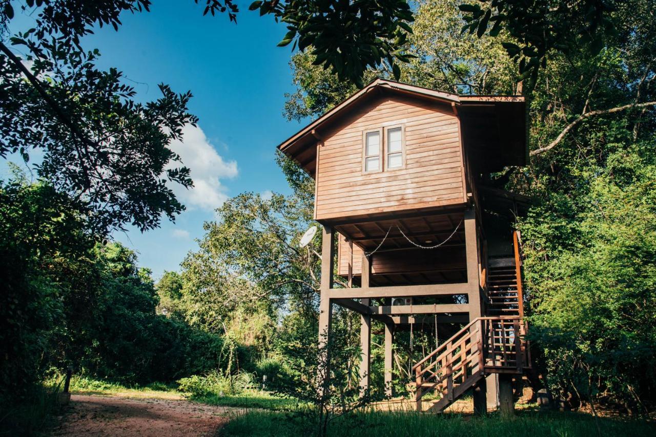 Sigiriya King'S Resort Dış mekan fotoğraf